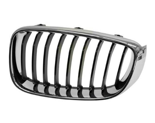 BMW Kidney Grille - Front Driver Side 51137294803